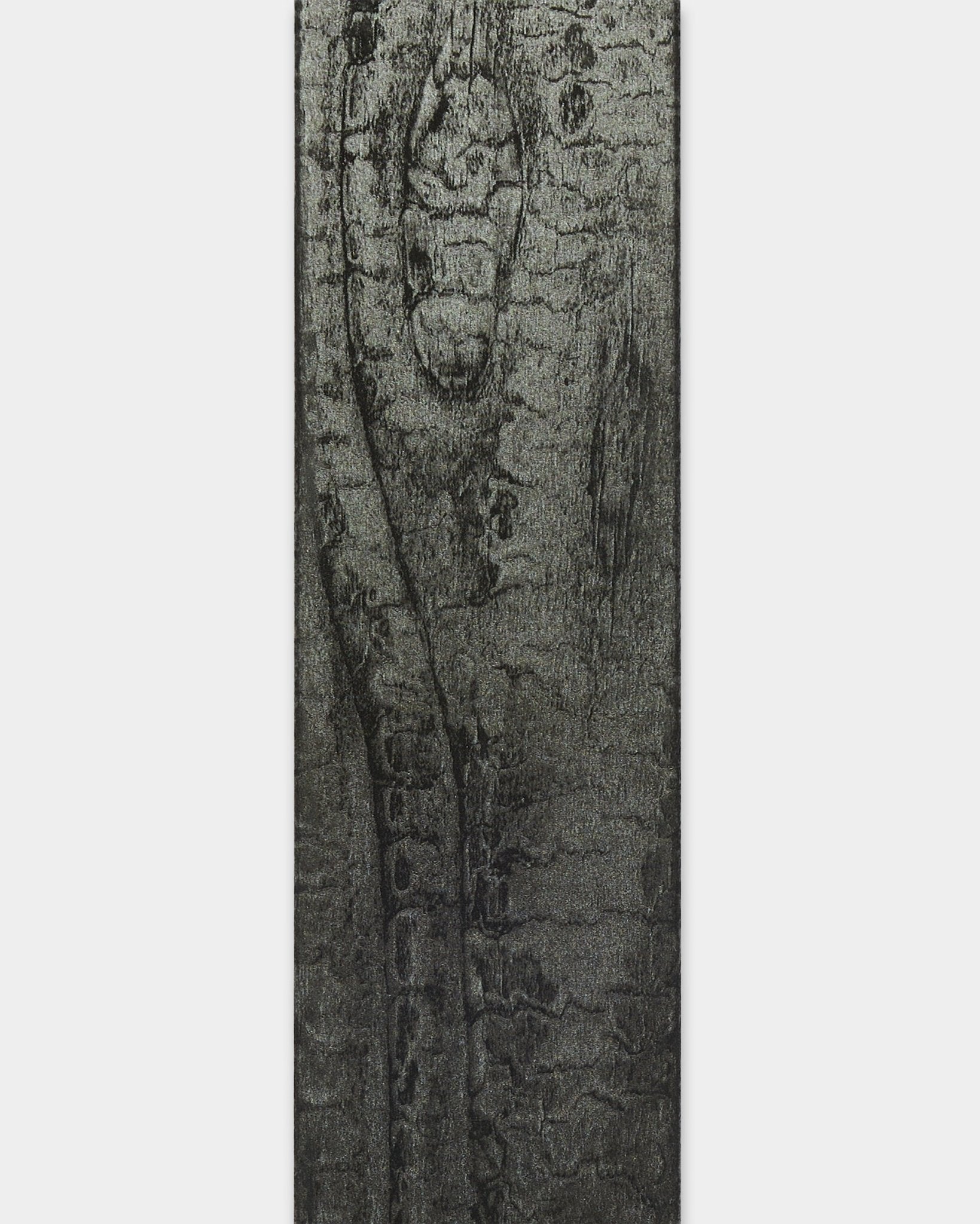 Gros plan sur l’accessoire WoodUpp Akupanel en Lamella charbon, longueur 240 cm, montrant la texture détaillée du bois pour les finitions de bord ou le remplacement de lattes.