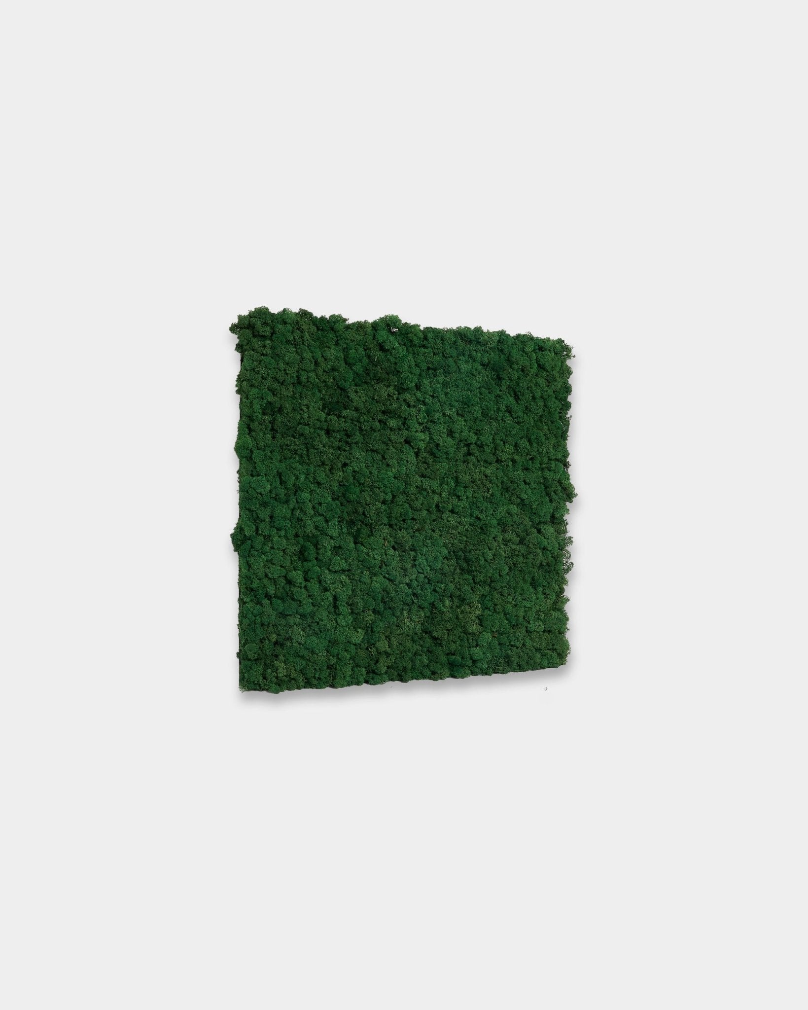 WoodUpp Akupixel Moss Green Panneau acoustique (60 x 60 cm) dans une couleur moss green vibrante, présenté sur un fond blanc uni.