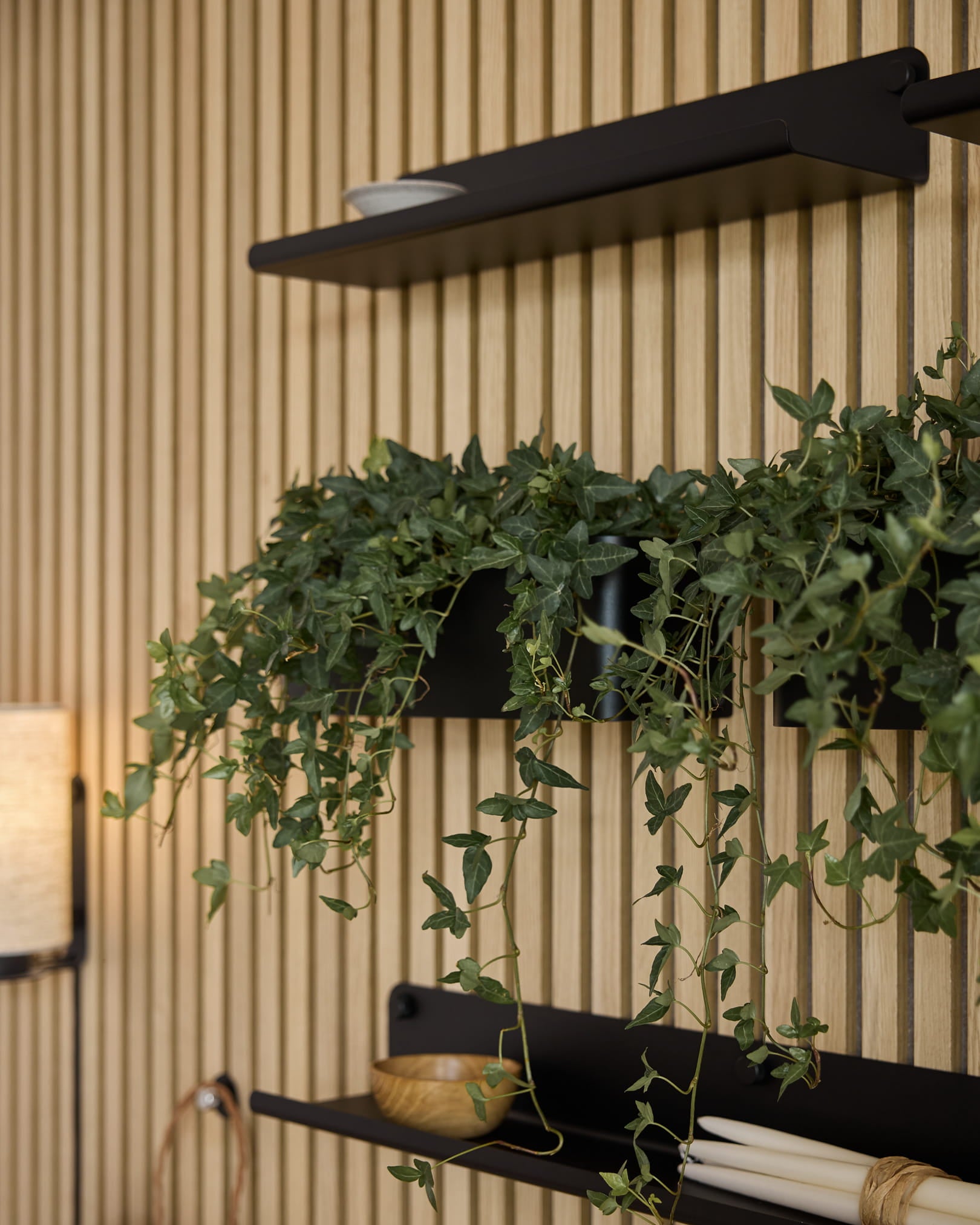 Mur acoustique à lattes en bois Akupanel Vertical, avec des étagères black, une décoration minimaliste, de la verdure et un Plant Box WoodUpp Norr black (35.9 cm).